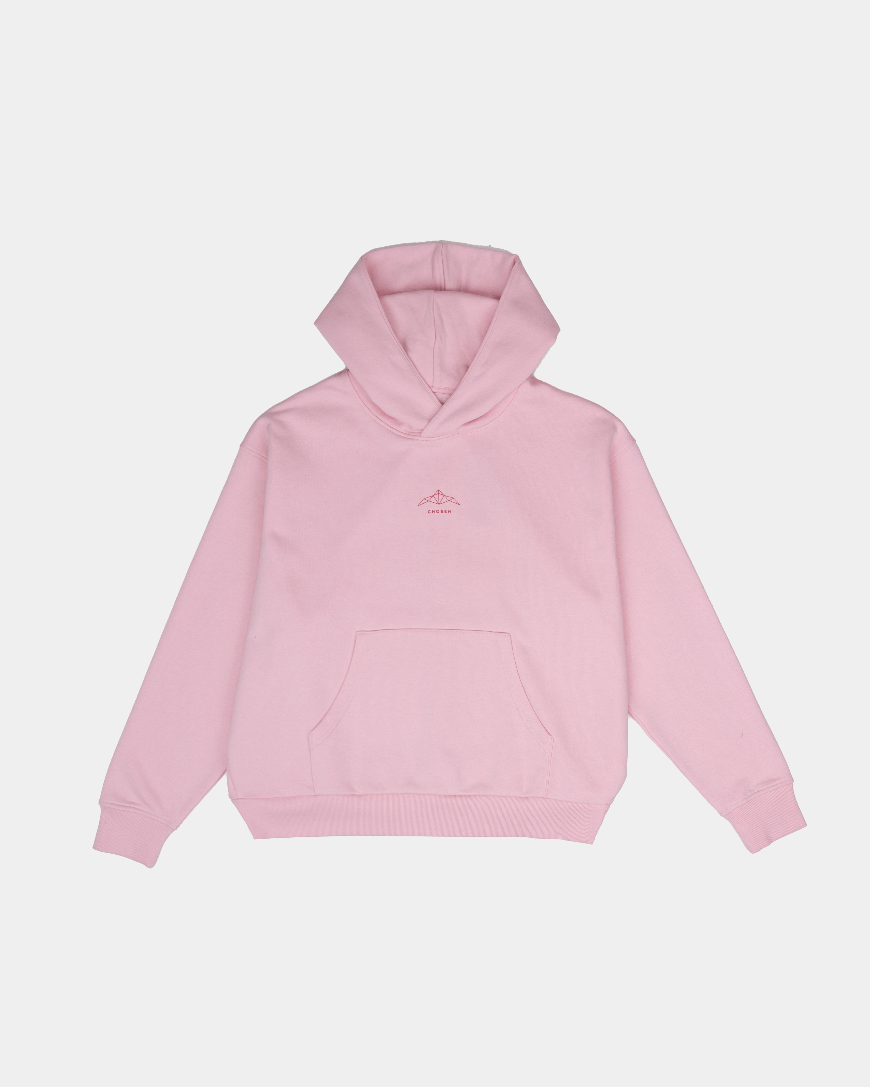 PRAISE HOODIE